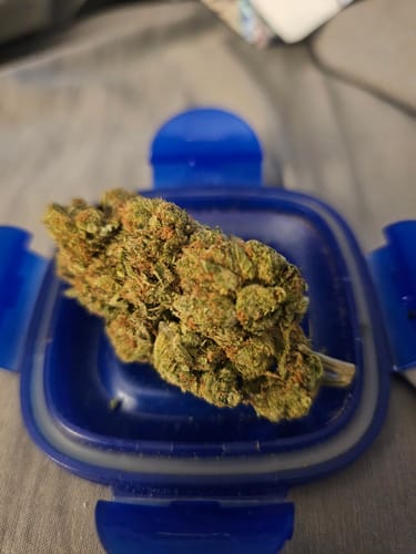 Skywalker OG - 28 Grams - Indica photo review