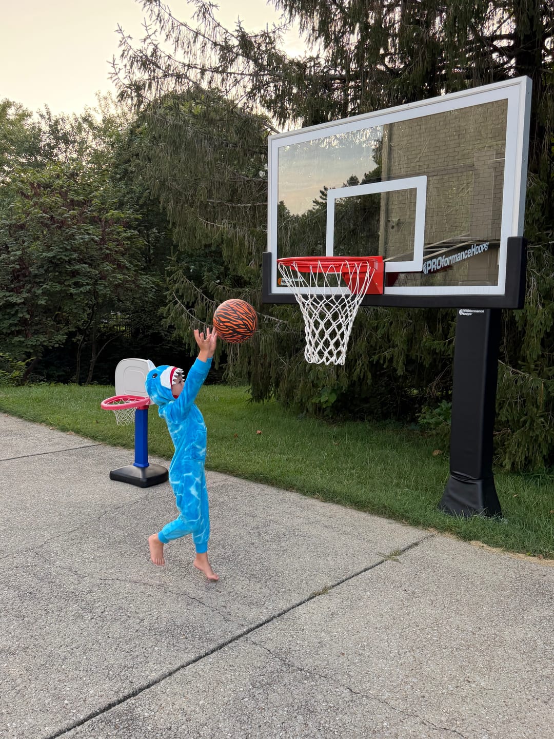 Customer photo review of Orange And Black Tiger Stripe Print Basketball