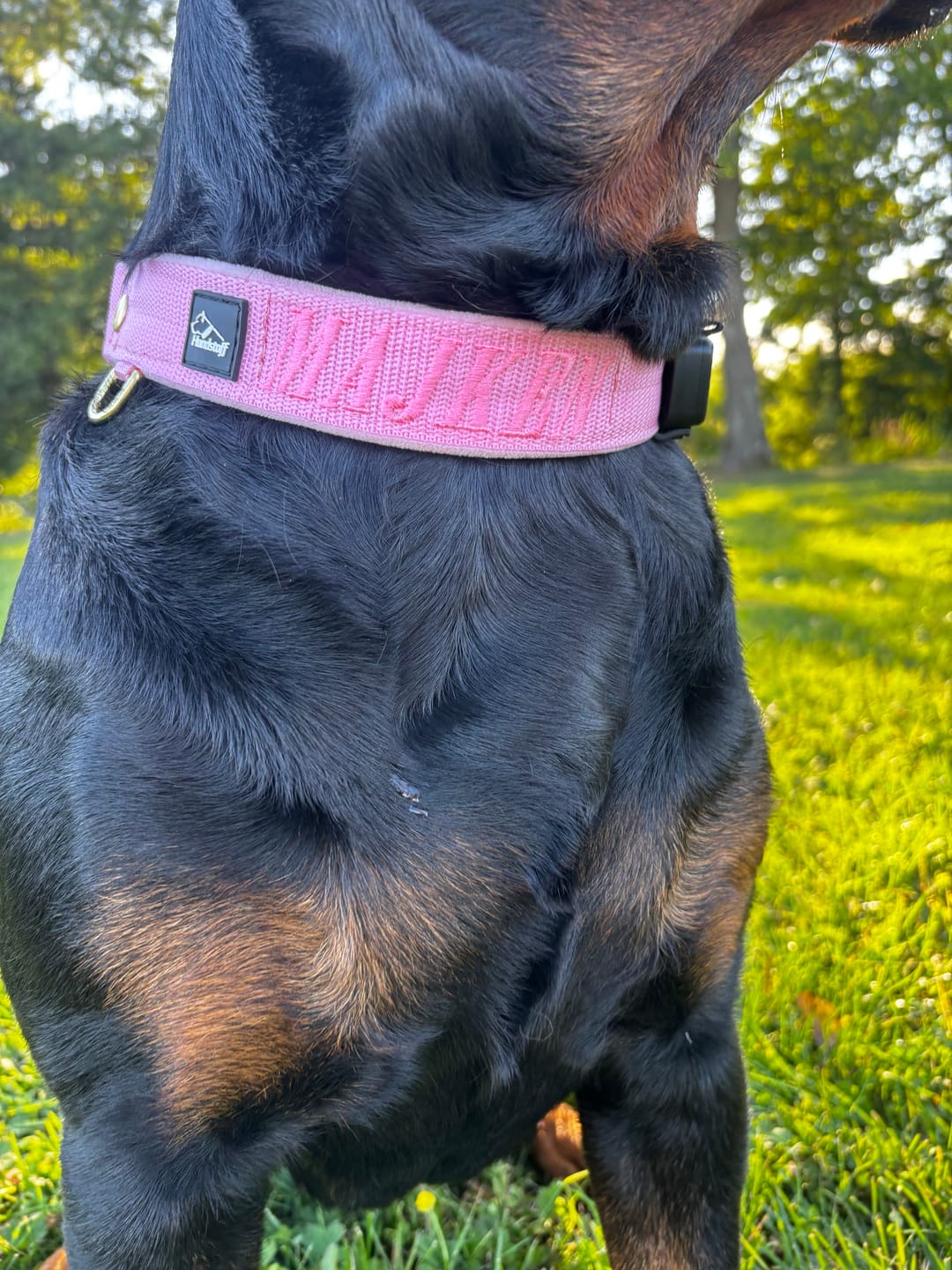 Customer photo review of Martingale halsband med namn