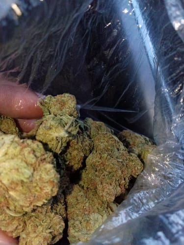 Gas Face - Bulk - (Indica) photo review