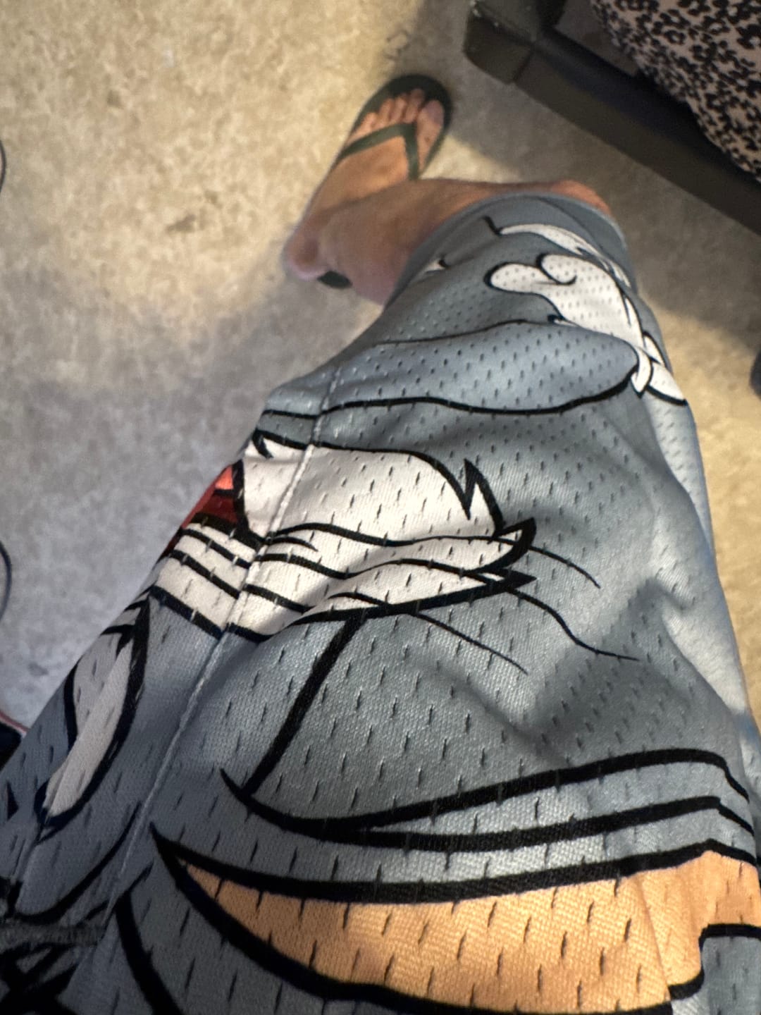 Customer photo review of 1098 - Looney Tunes Basketball Shorts