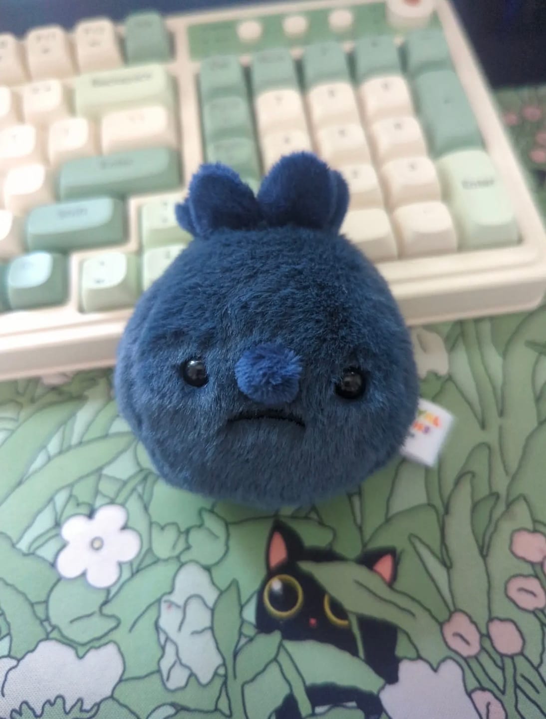 Customer photo review of Forgotten Single Blueberry