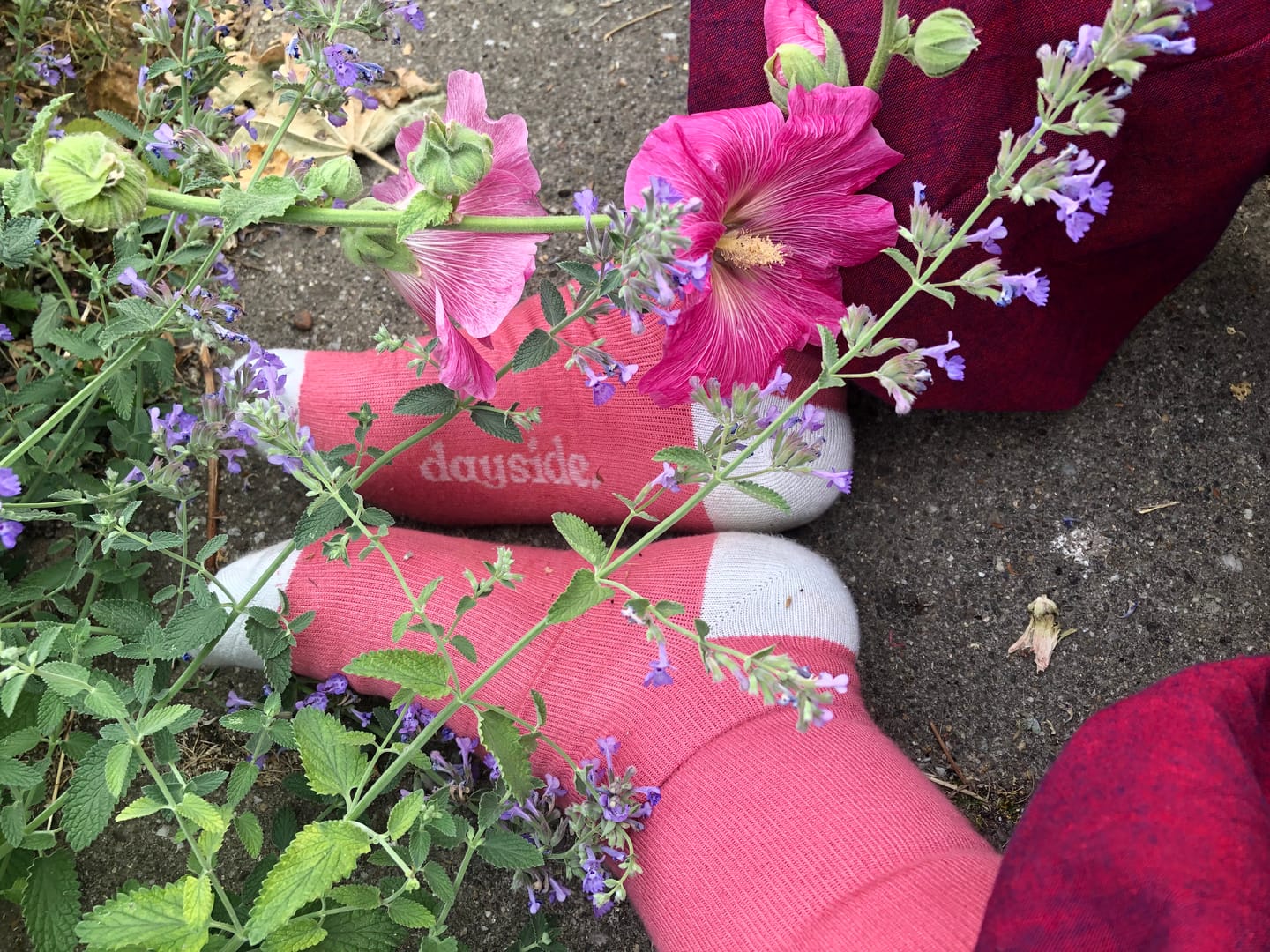 Customer photo review of Mystery Pair