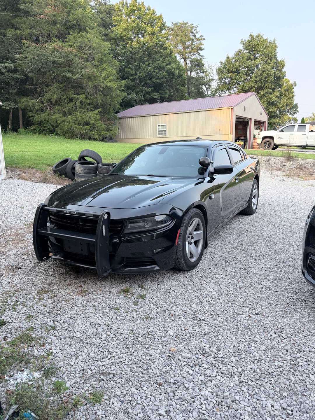 Customer photo review of RIPP V6 High Performance Coil Packs