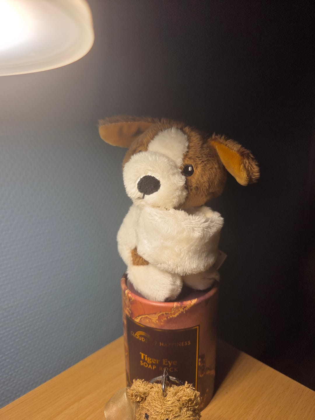Customer photo review of Mini Lotgenootje Hond