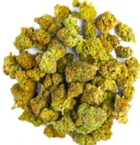 Biscotti Cake - 28 Grams - Hybrid photo review