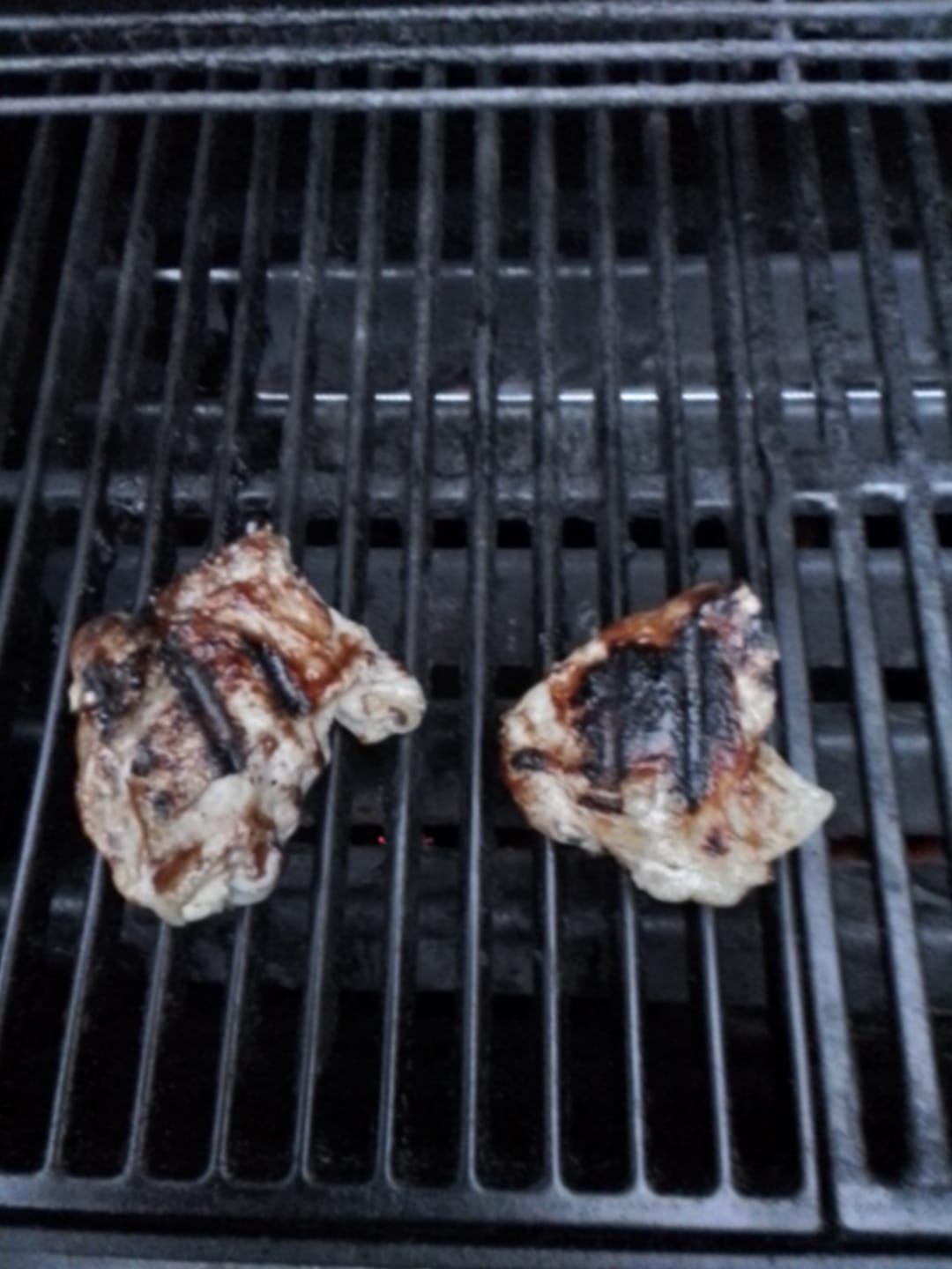 Customer photo review of The NEW "TRY-IT" Box [13lbs of Premium Farm-Raised Beef & Chicken] 10 solid meals