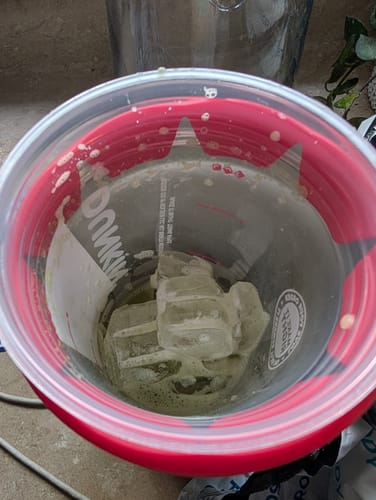 Customer's To-Go Buddy cup holding ice cubes, top-down view showing interior and red rim.