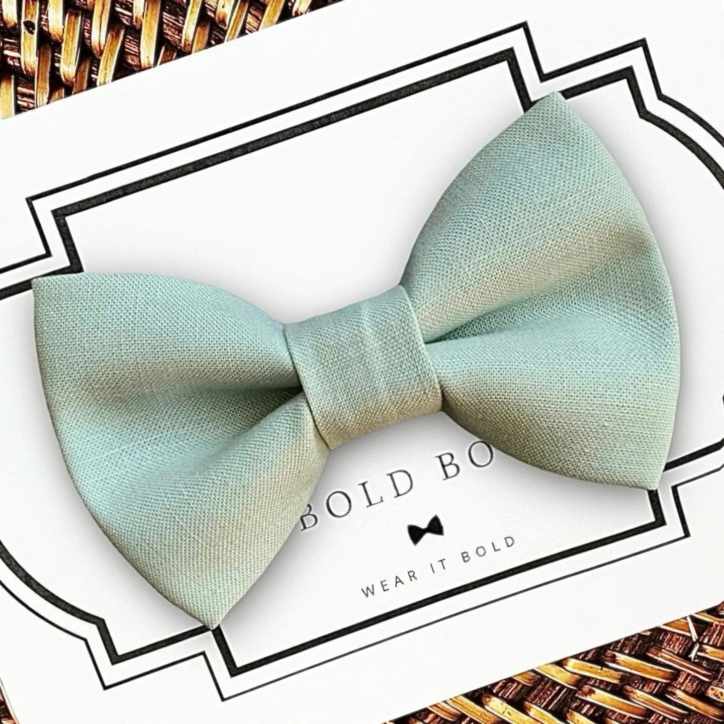 Customer photo review of Sage Green Dog Bow Tie or Cat Bow Tie