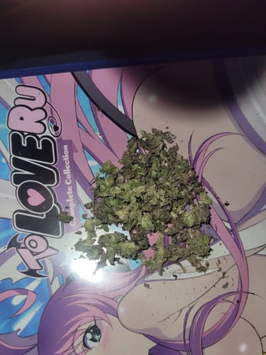 White Widow - 28 Grams – Hybrid photo review