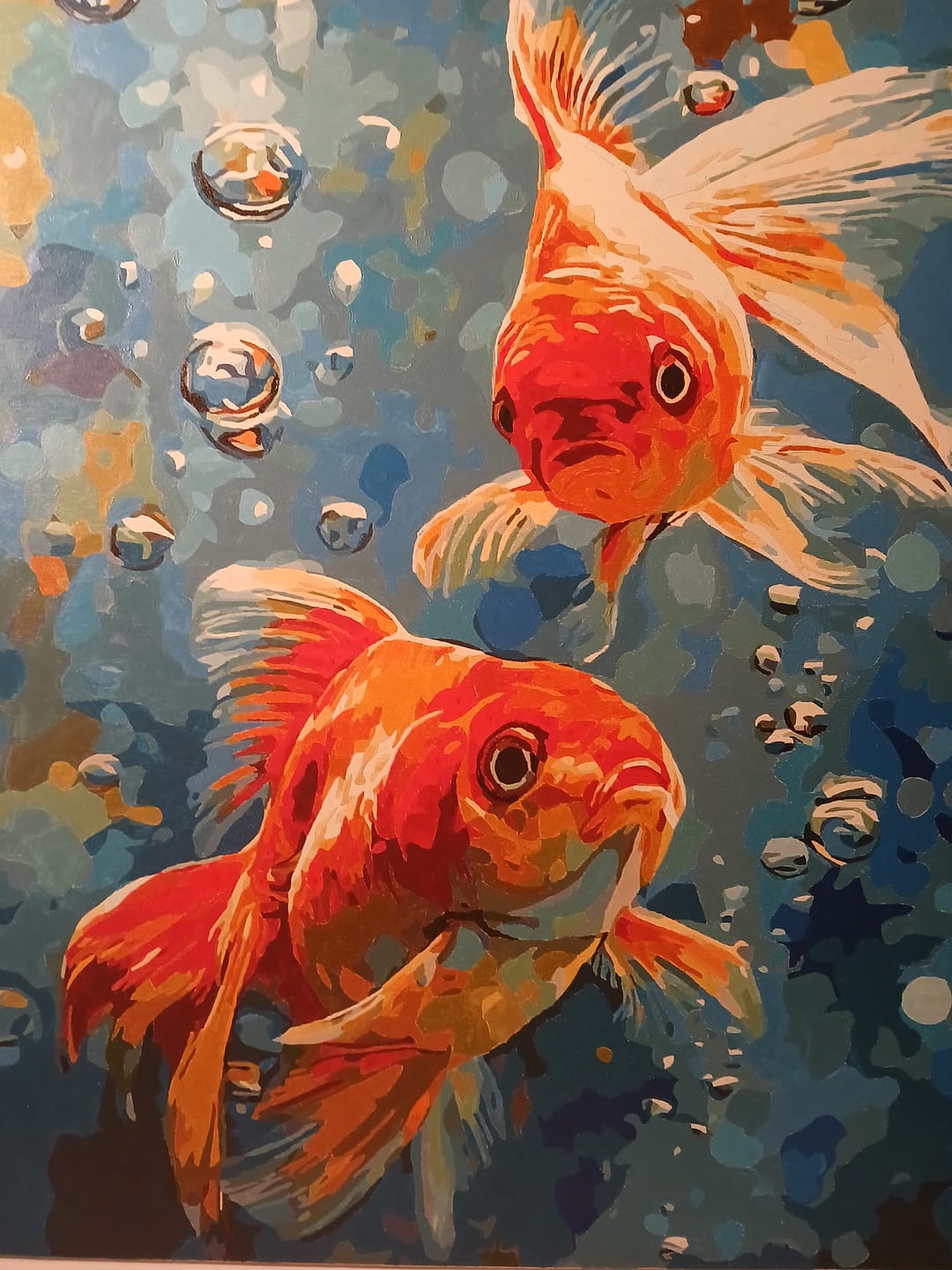 Customer photo review of Dancing Goldfish