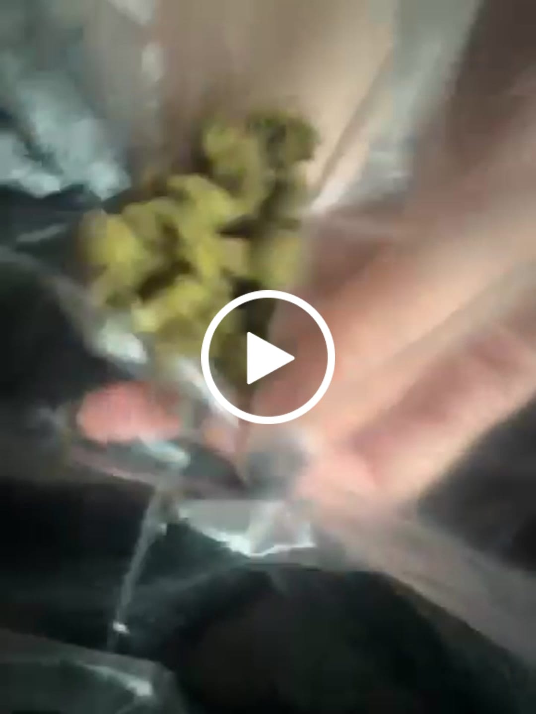 Customer video review of Bulk Mixlight Smalls