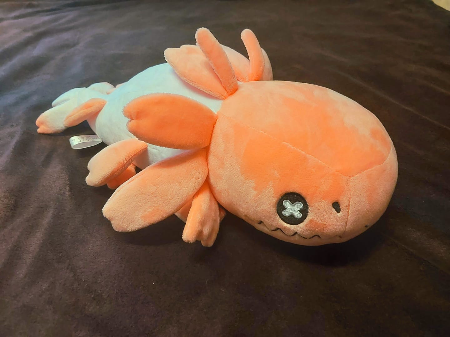 Customer photo review of Rain World - Strawberry Lizard Plush