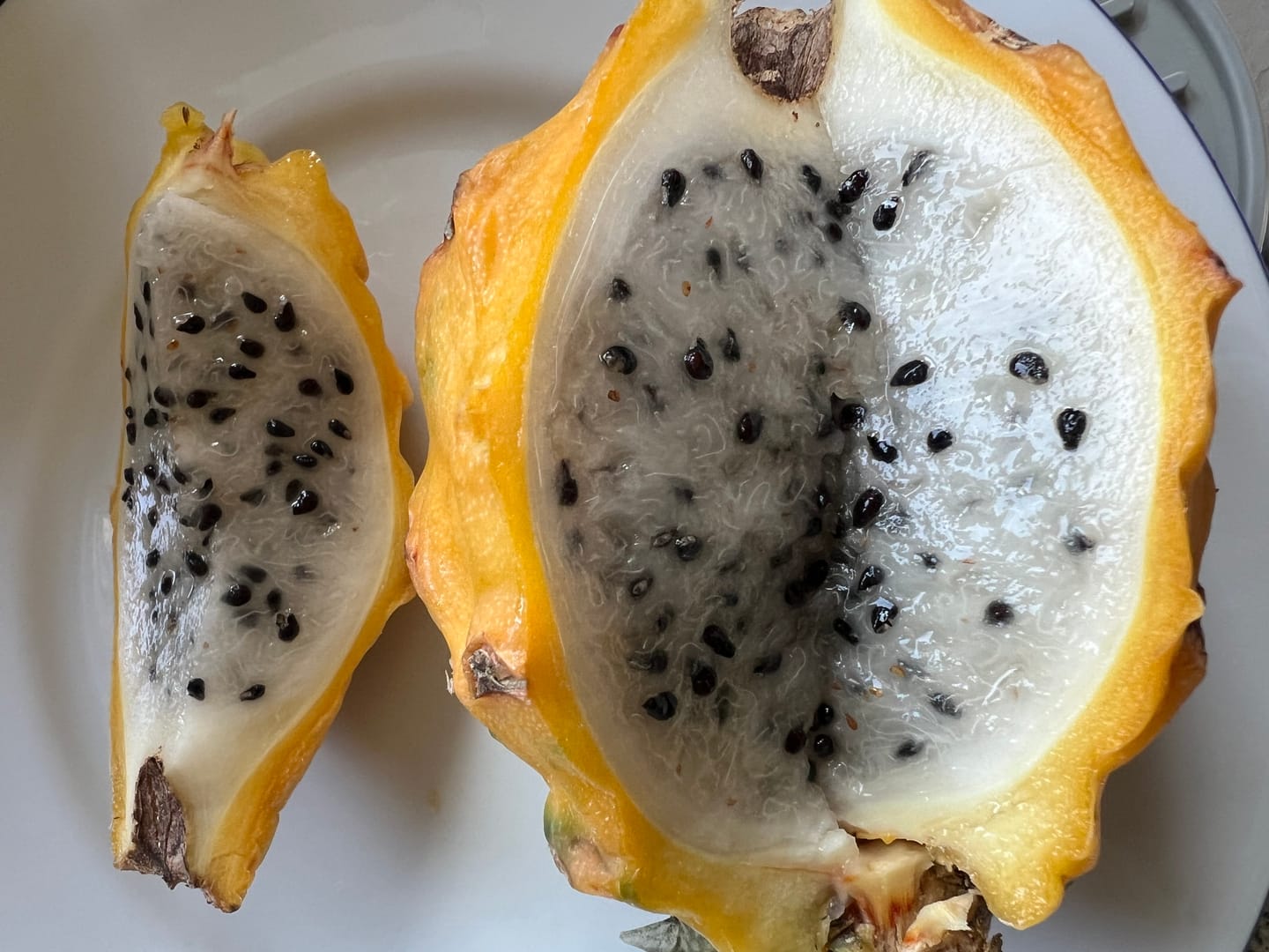 Customer photo review of Goldene Drachenfrucht (Pitaya) Sonderaktion %