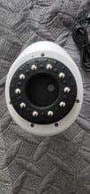 Customer photo review of Medusea Sculptor