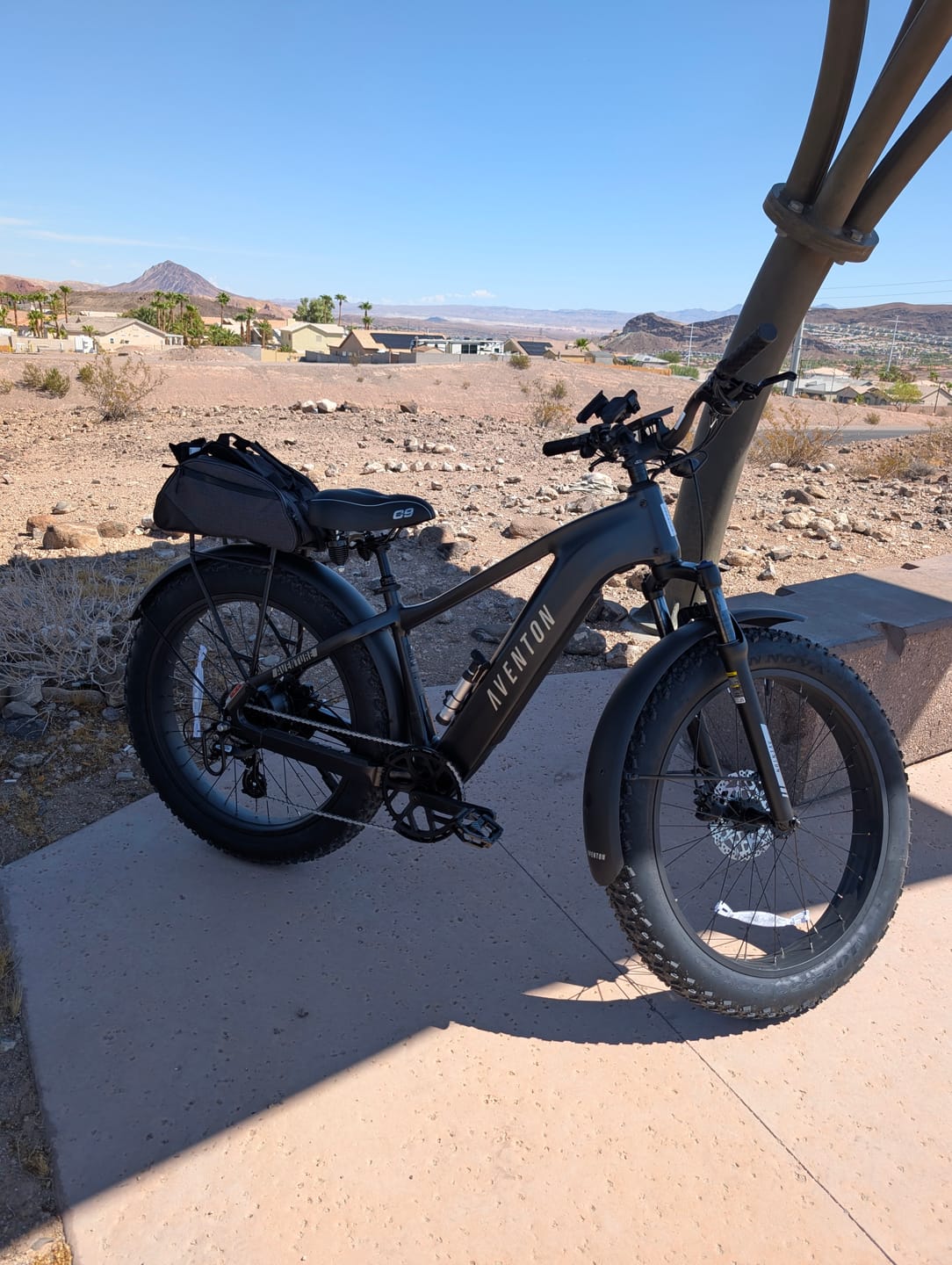 Customer photo review of Aventon Aventure 3 Step Over