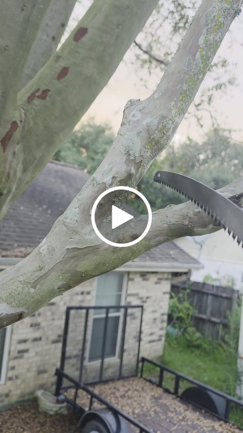 Customer video review of Tree Trimming/Wood Cutting – Japanese Teeth Arc Edge 6 TPI Reciprocating Saw Blade