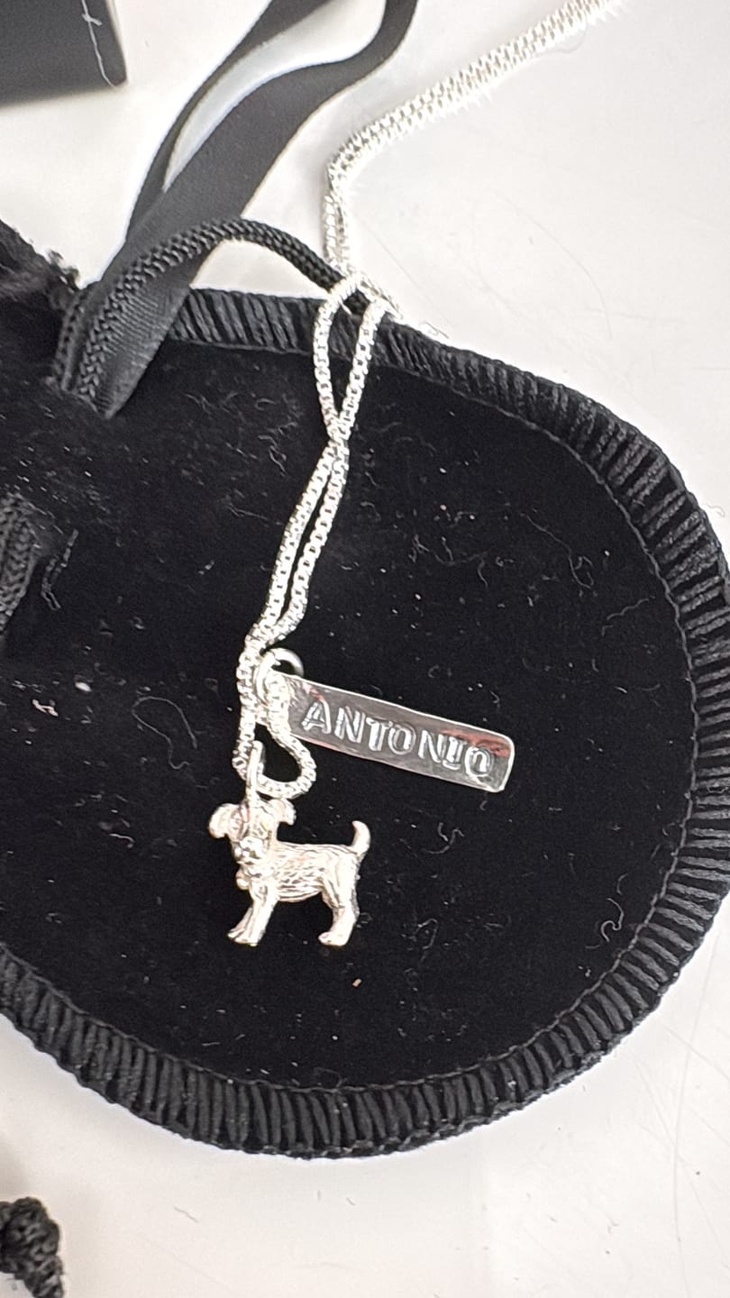 Customer photo review of Collar Mi perri