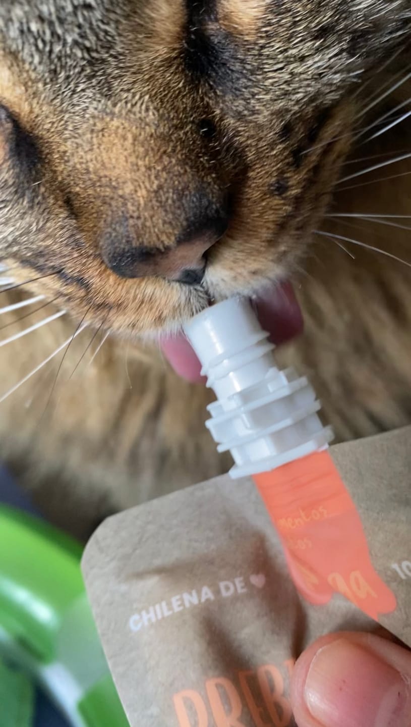 Customer photo review of Prebiotic Salmon Gatos