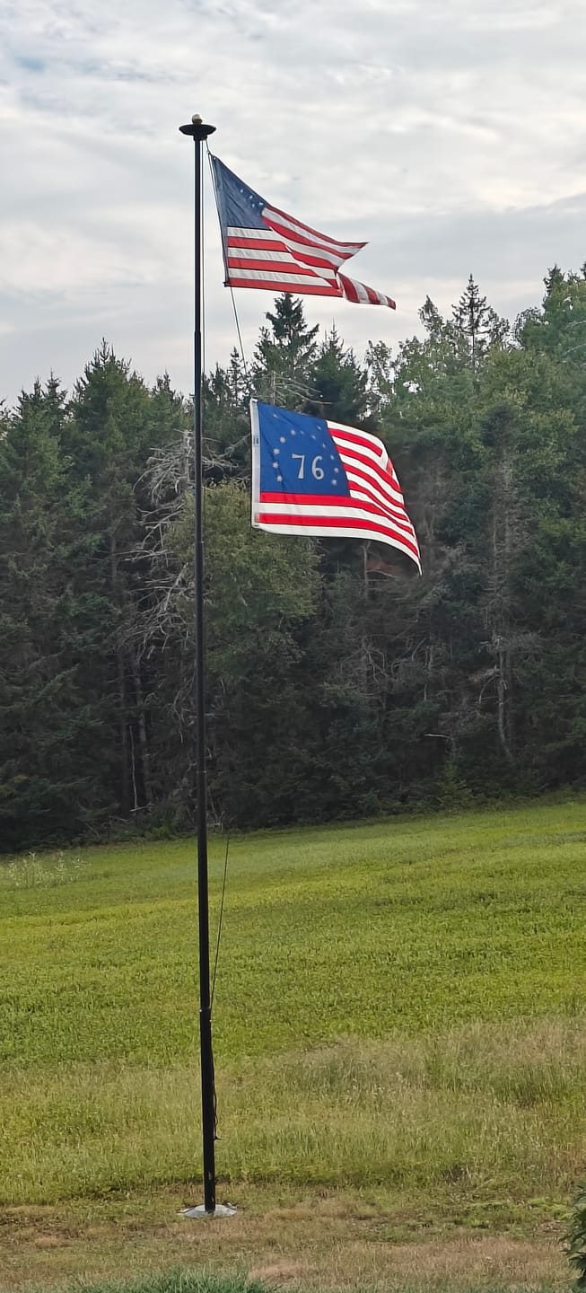 Customer photo review of 3' x 5' Bennington Flag