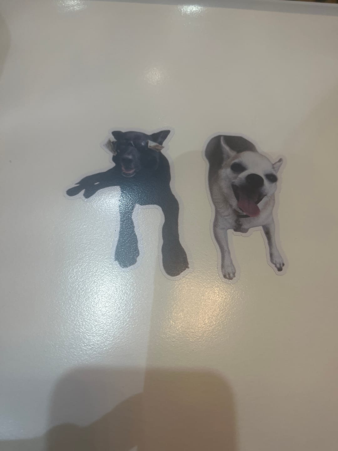 Customer photo review of Custom Photo Face Stickers
