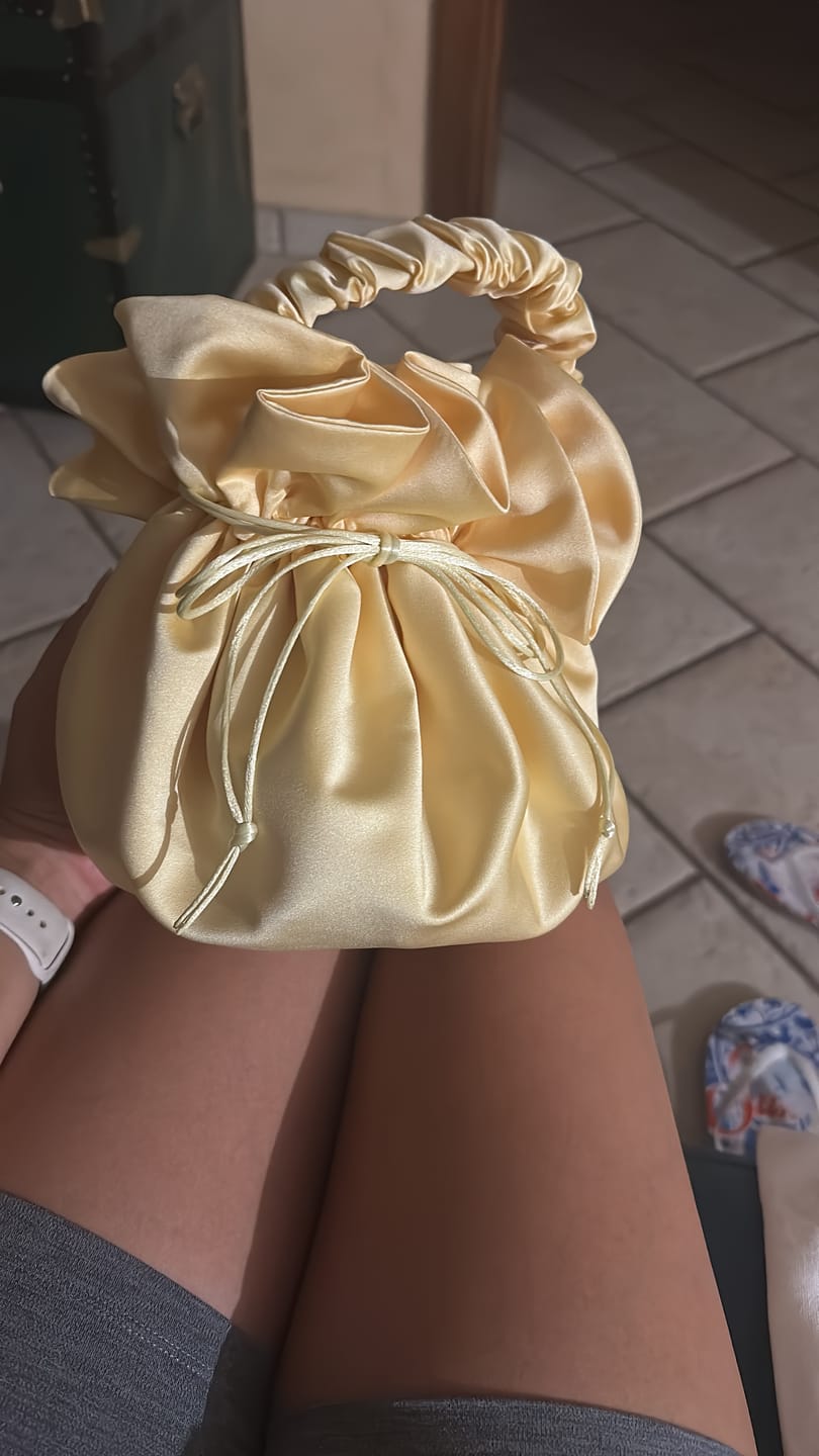 Customer photo review of Lily Bag
