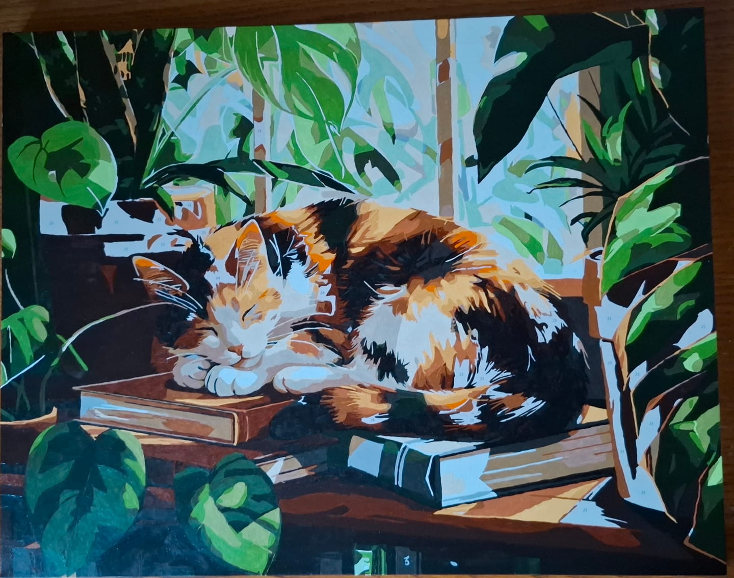 Customer photo review of Sleeping Cat at the Window | Paint by Number