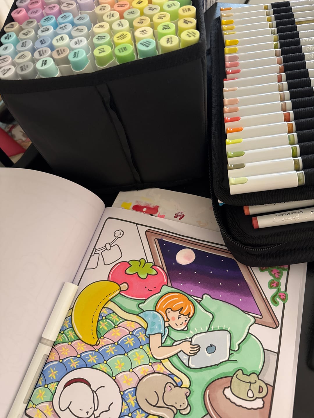Customer photo review of Ohuhu Honolulu 48 Mid-tone Colors Dual Tips Alcohol Art Markers (New Color Codes)