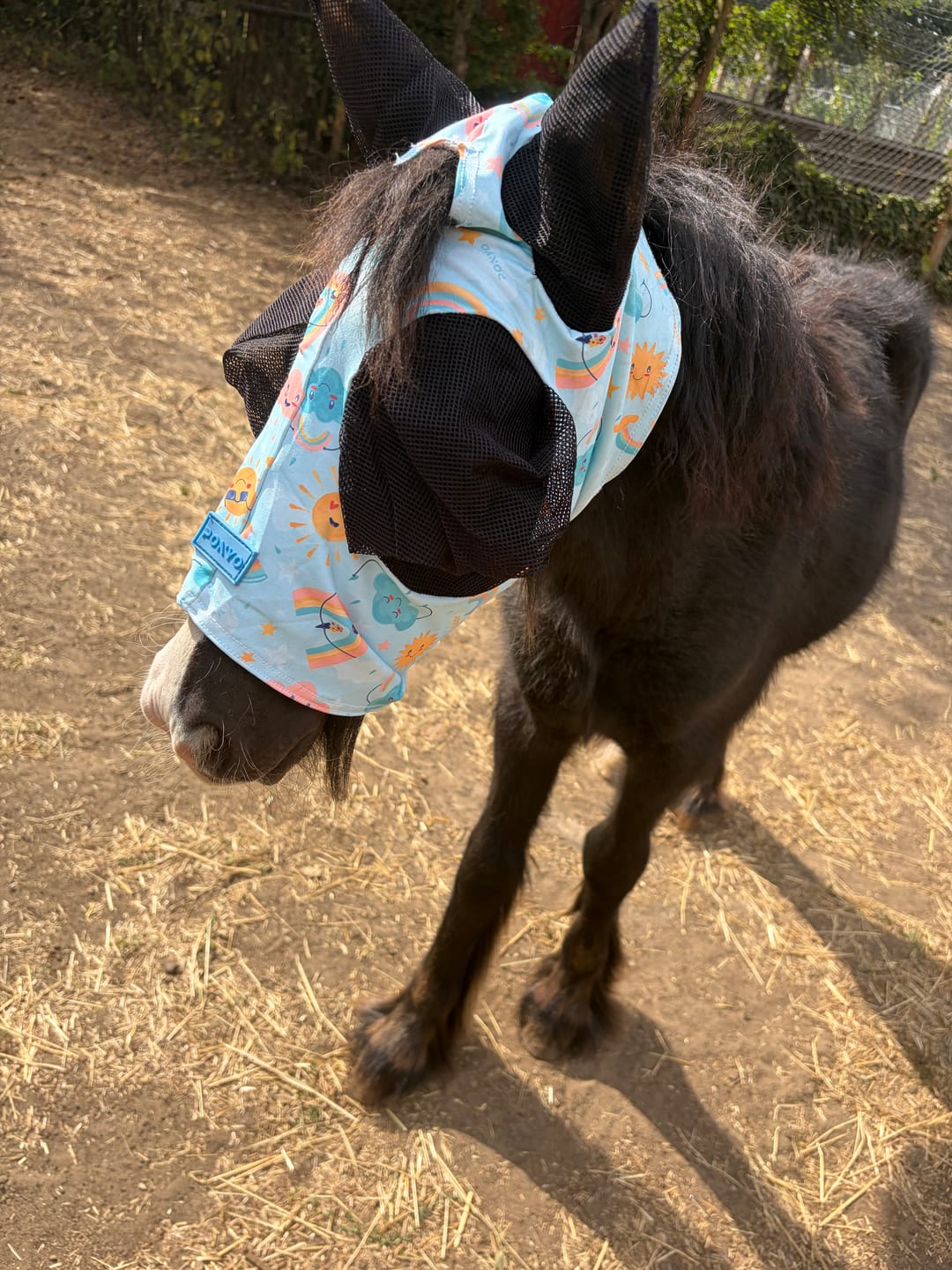 Customer photo review of NEW Rain Or Shine Fly Mask