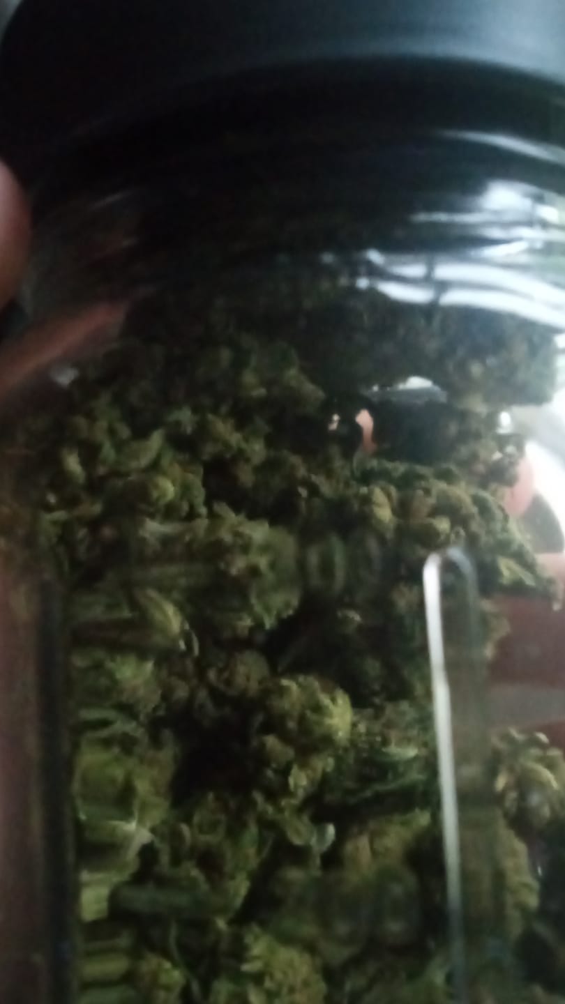 Customer photo review of Raspberry Kush - Minis - 28 Grams - Indica