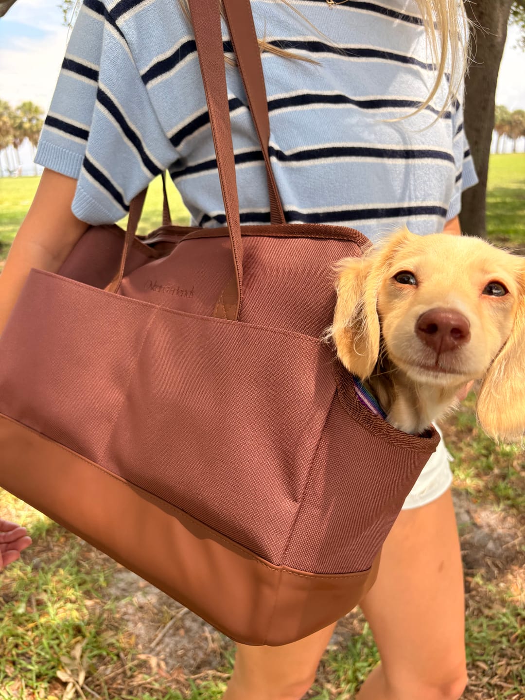 Customer photo review of Chocolate Brown Pet Tote Bag