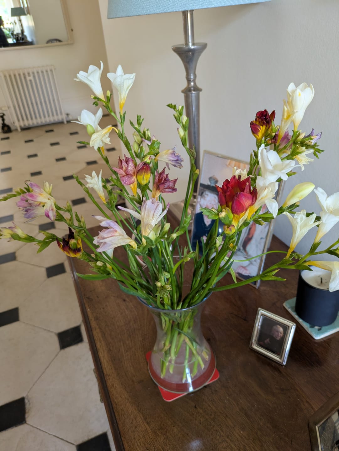 Customer photo review of Mixed Guernsey Long Stem Freesia Flowers