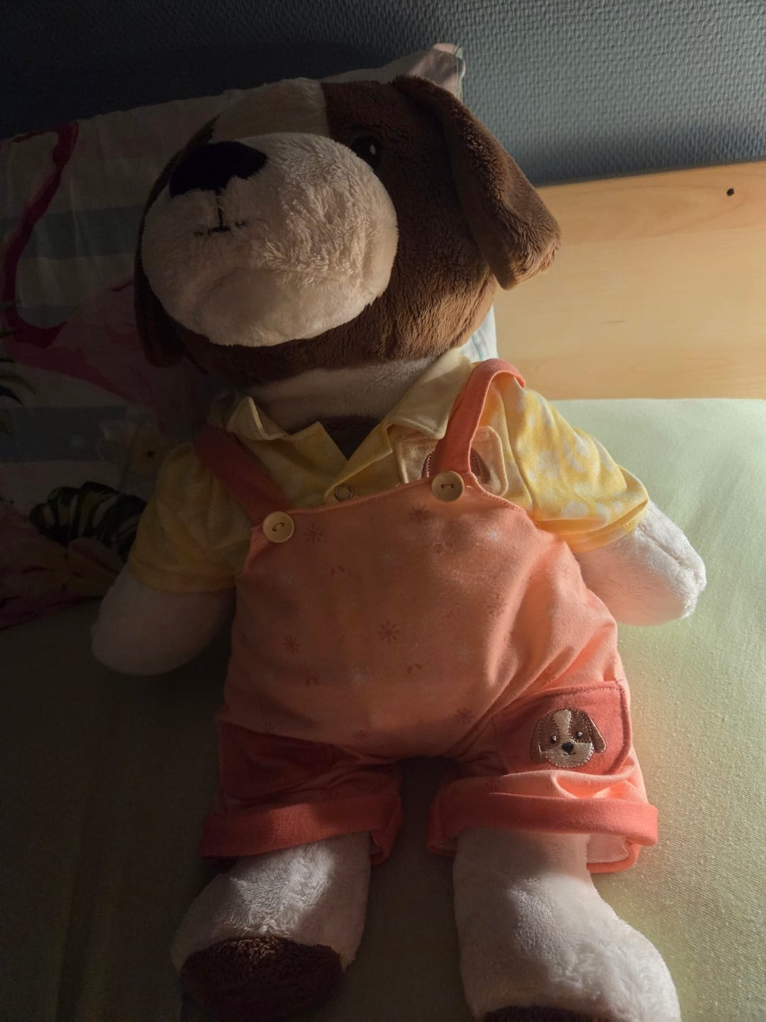 Customer photo review of Lotgenootje Hond 2kg