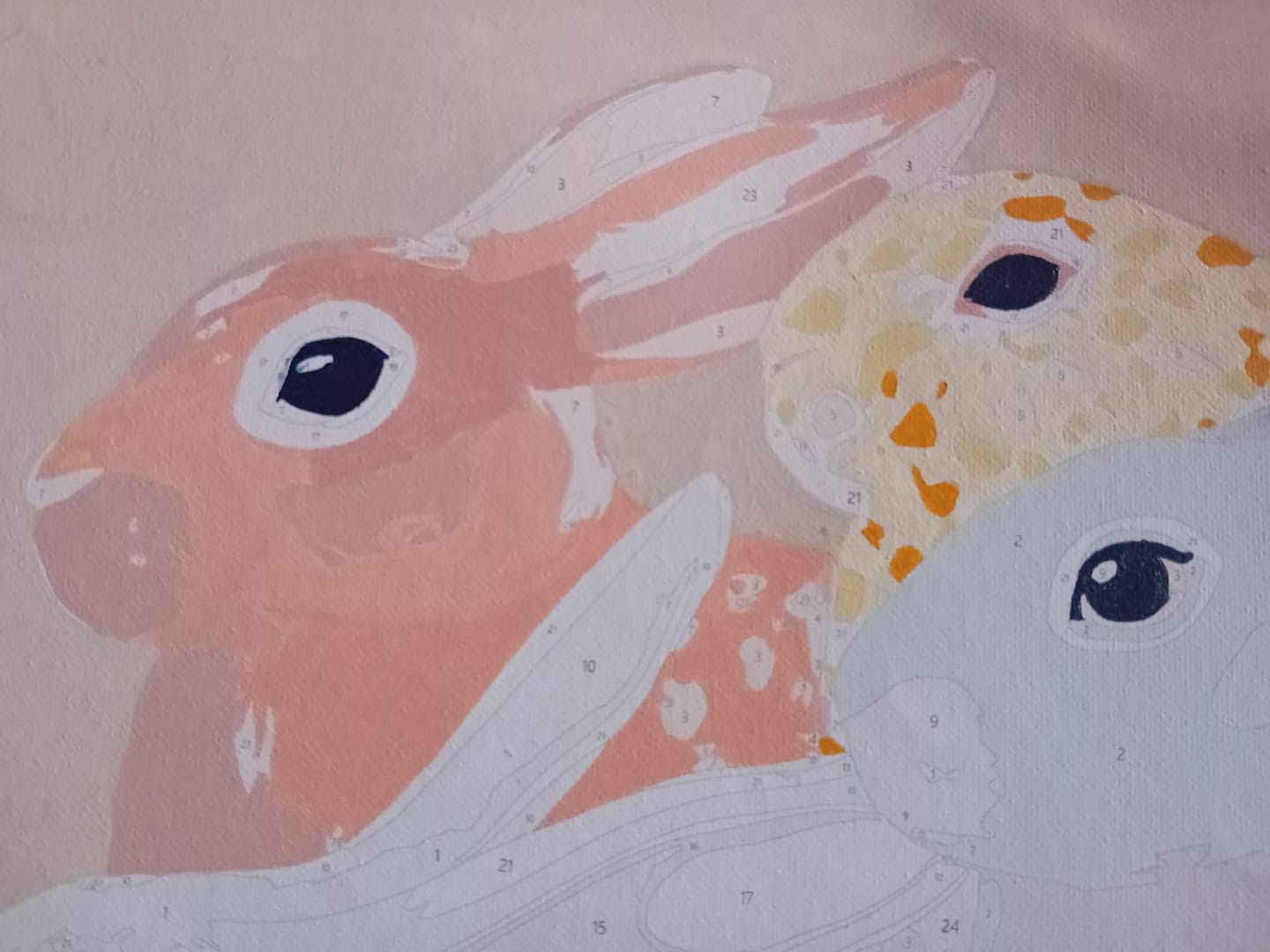Customer photo review of Hiding Rabbits | Paint by Number
