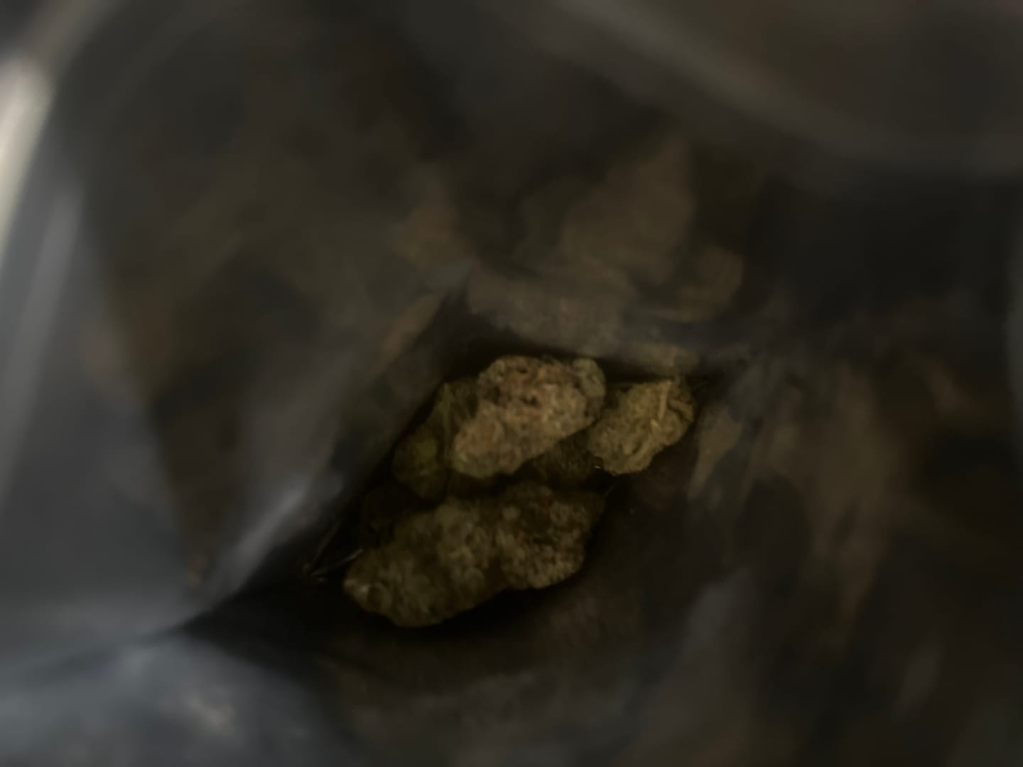 Customer photo review of Biscotti THCA Flower (Budget)