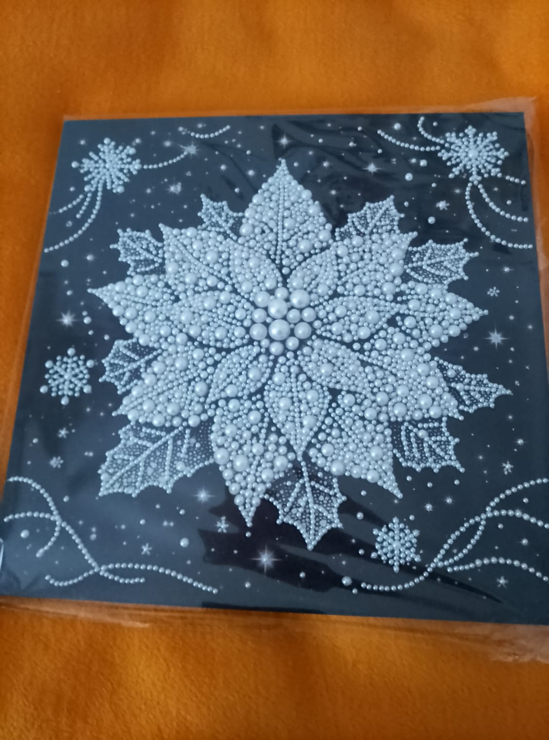 Customer photo review of Pure Poinsettia Pearl Art Canvas Kit 35x35cm