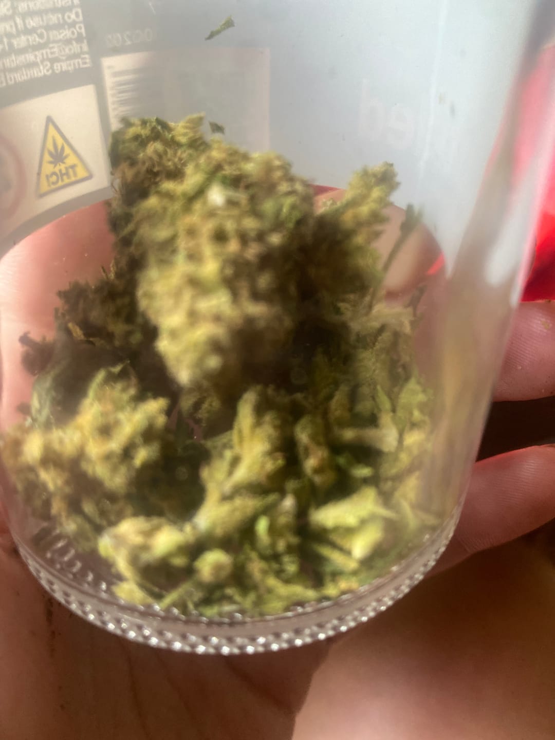 Customer photo review of Candy Gas Light Assist THCA