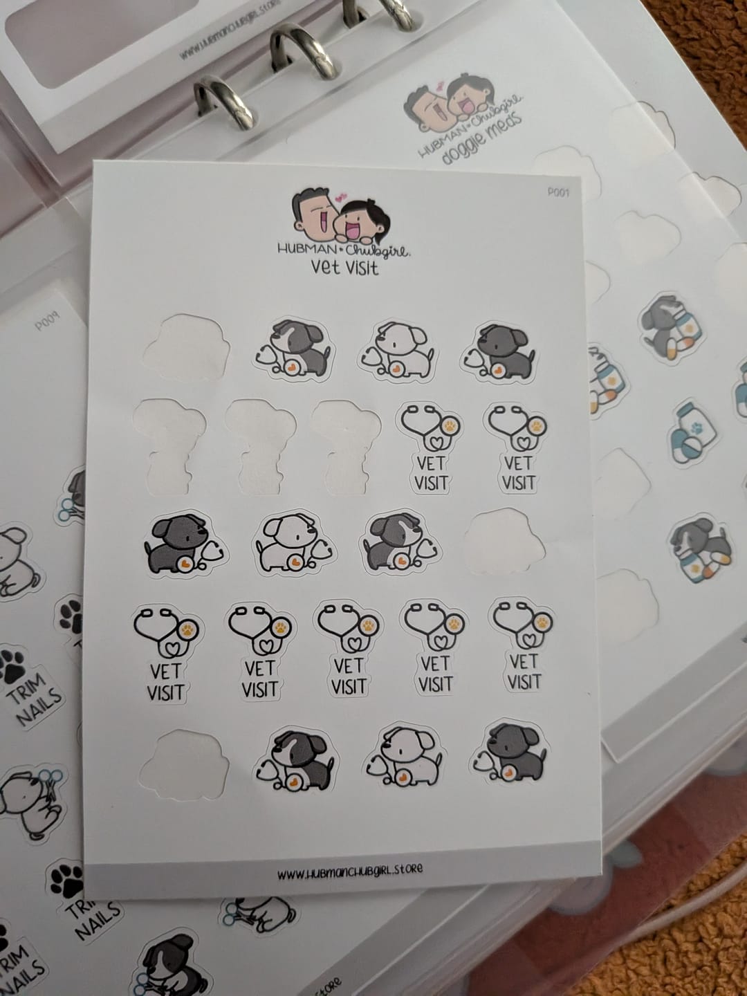 Customer photo review of Vet Visit Planner Stickers