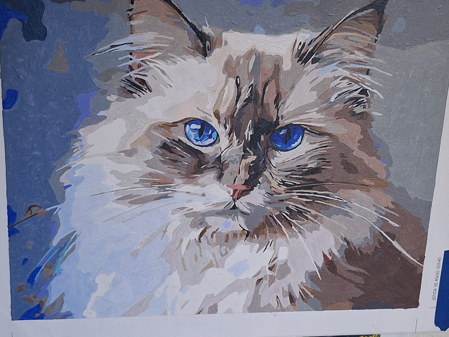 Customer photo review of Birman Cat No 2