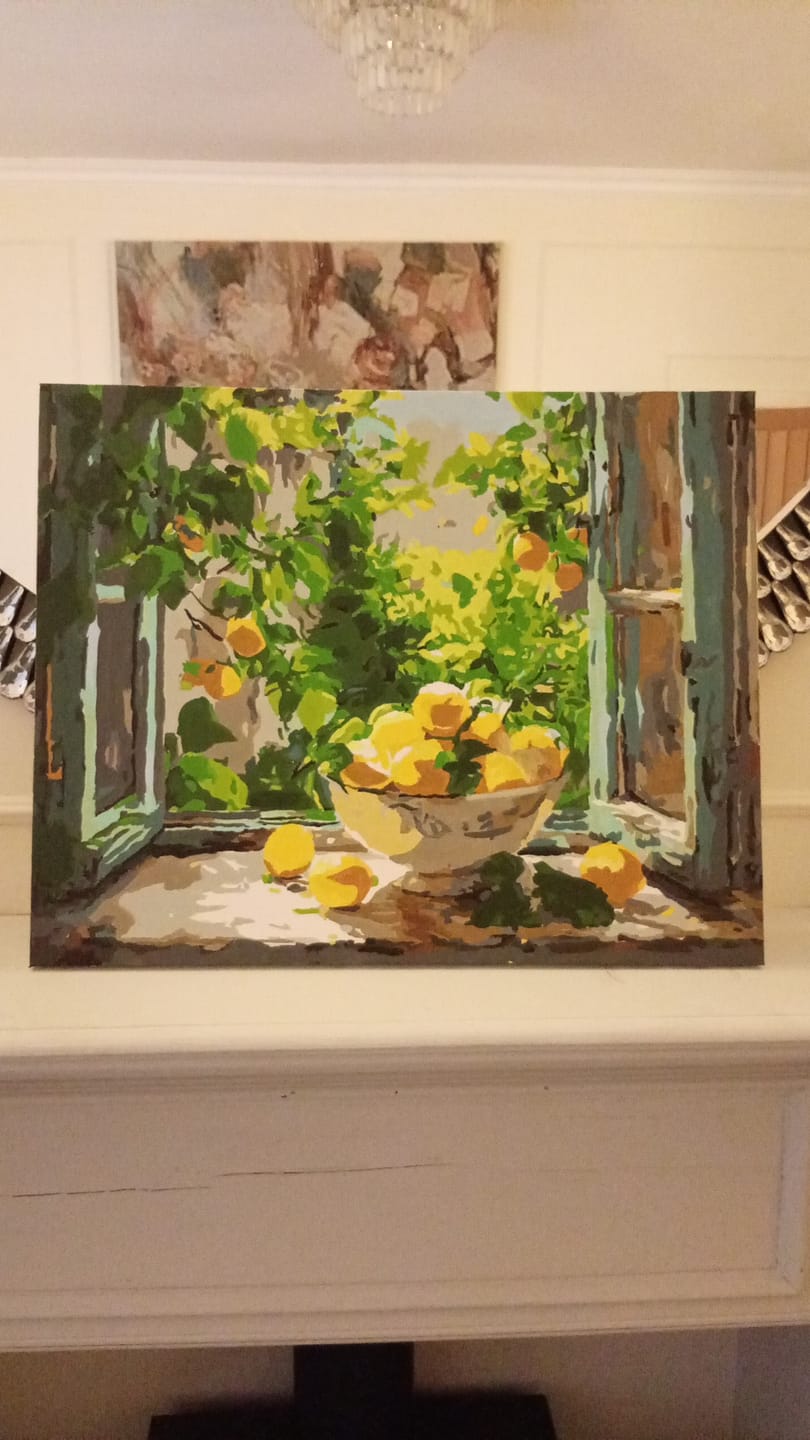 Customer photo review of Lemon Bowl by the Window | Paint by Number