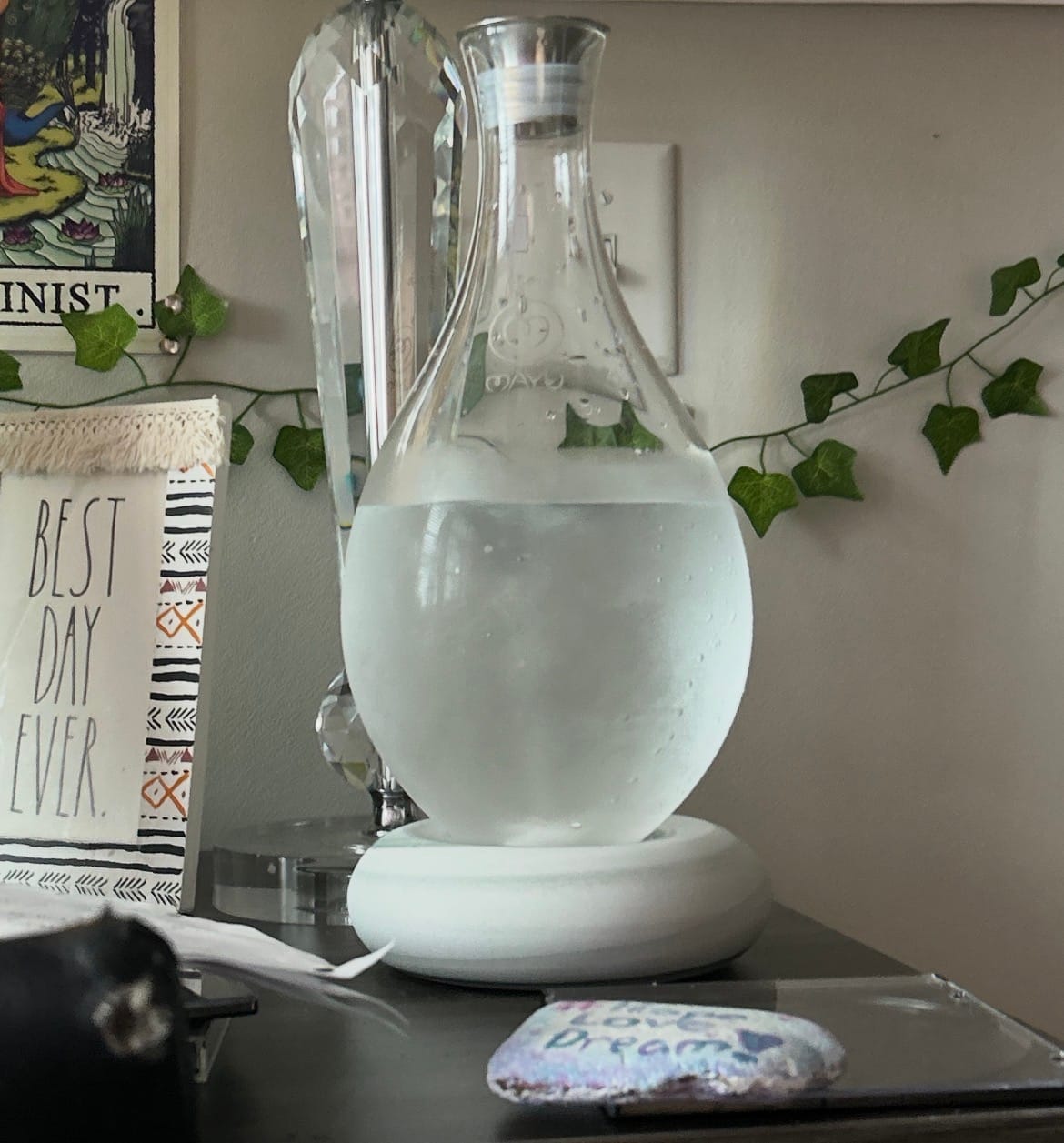 Customer photo review of Best Selling Starter Kit