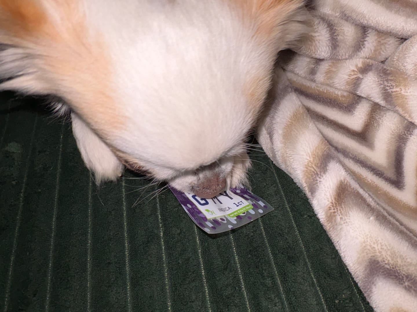 Customer photo review of DELTA 8 GUMMIES Single Package - 50CT Raspberry Kush 25mg - INDICA