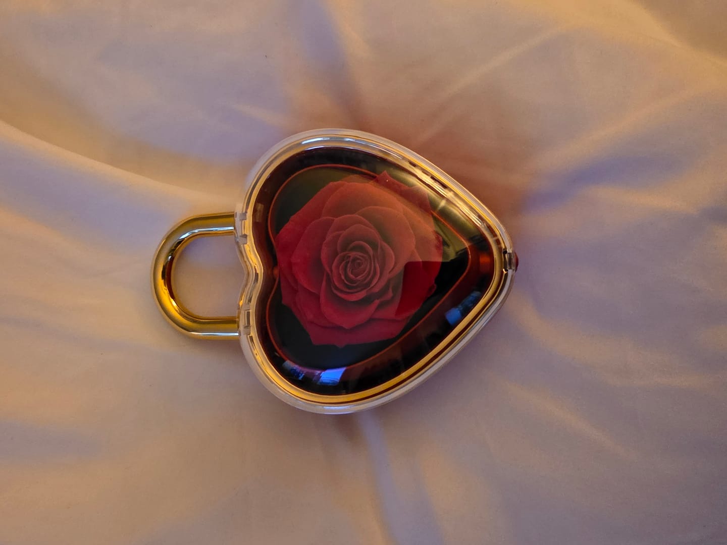Customer photo review of Eternal Rose Lock - W/ Engraved Necklace
