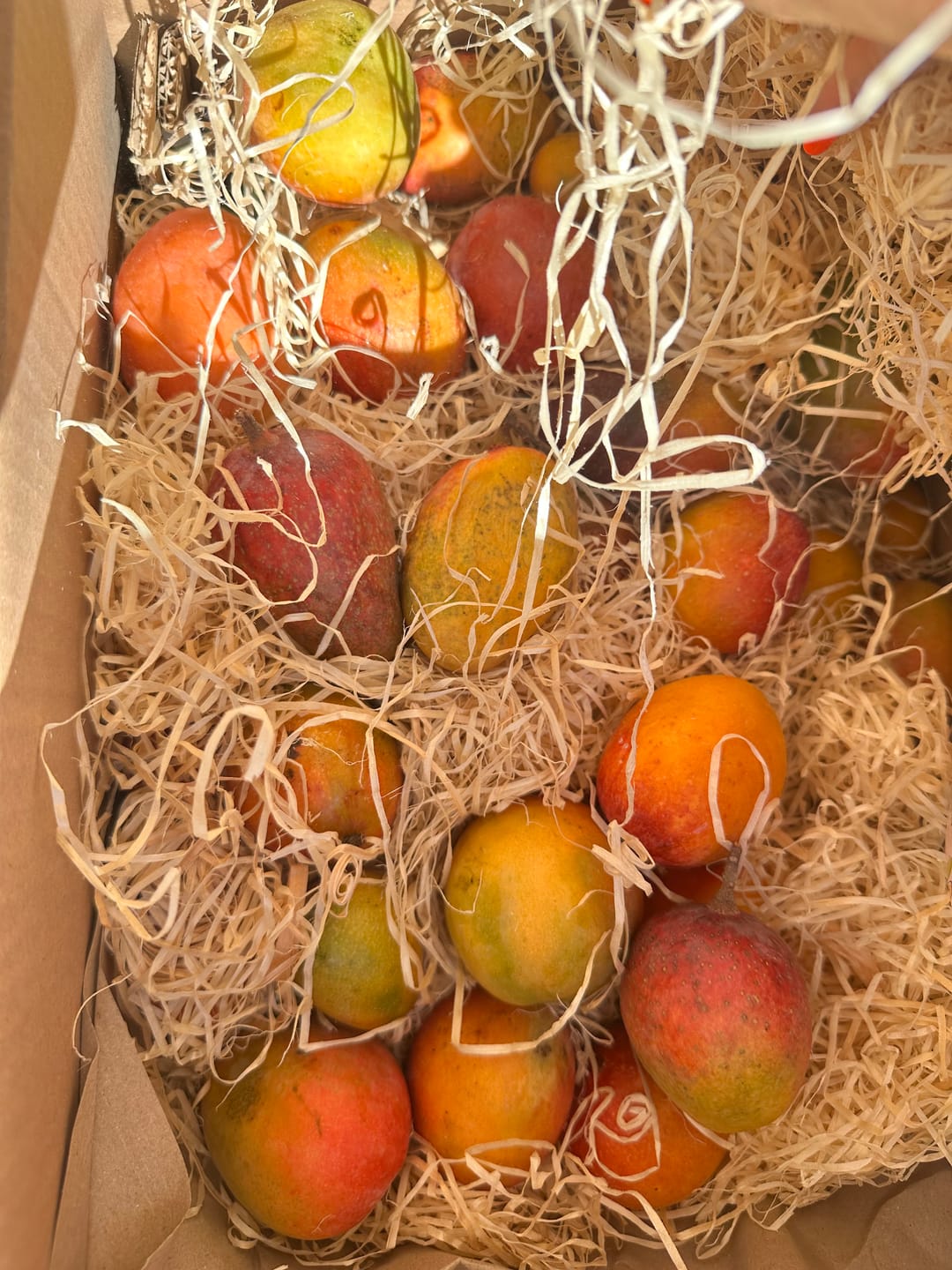 Customer photo review of Mango-Raritäten Mix von Julian
