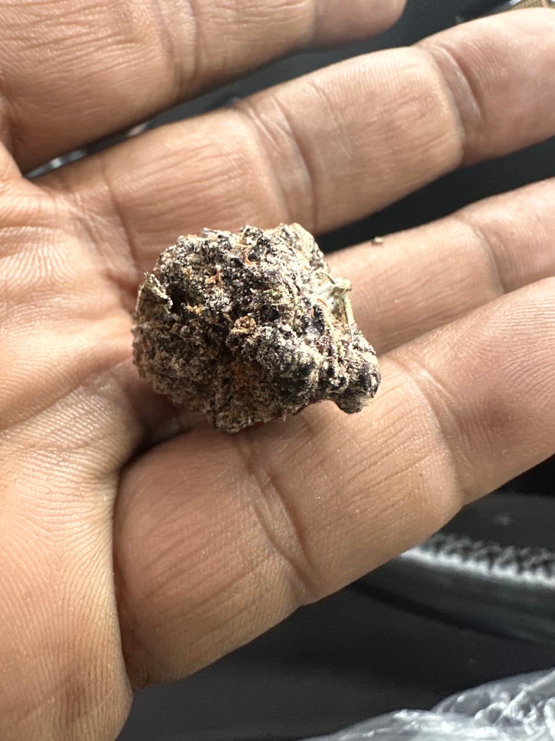 Customer photo review of Han Solo Burger Minis - Bulk Minis - Indica