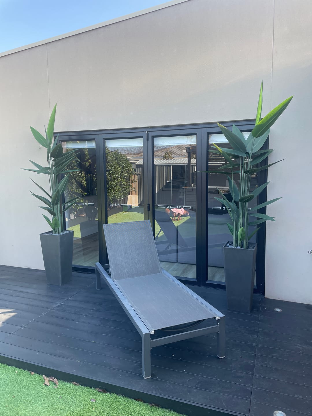 Customer photo review of Artificial Bird of Paradise Tree 210cm – Large Tropical Faux Plant
