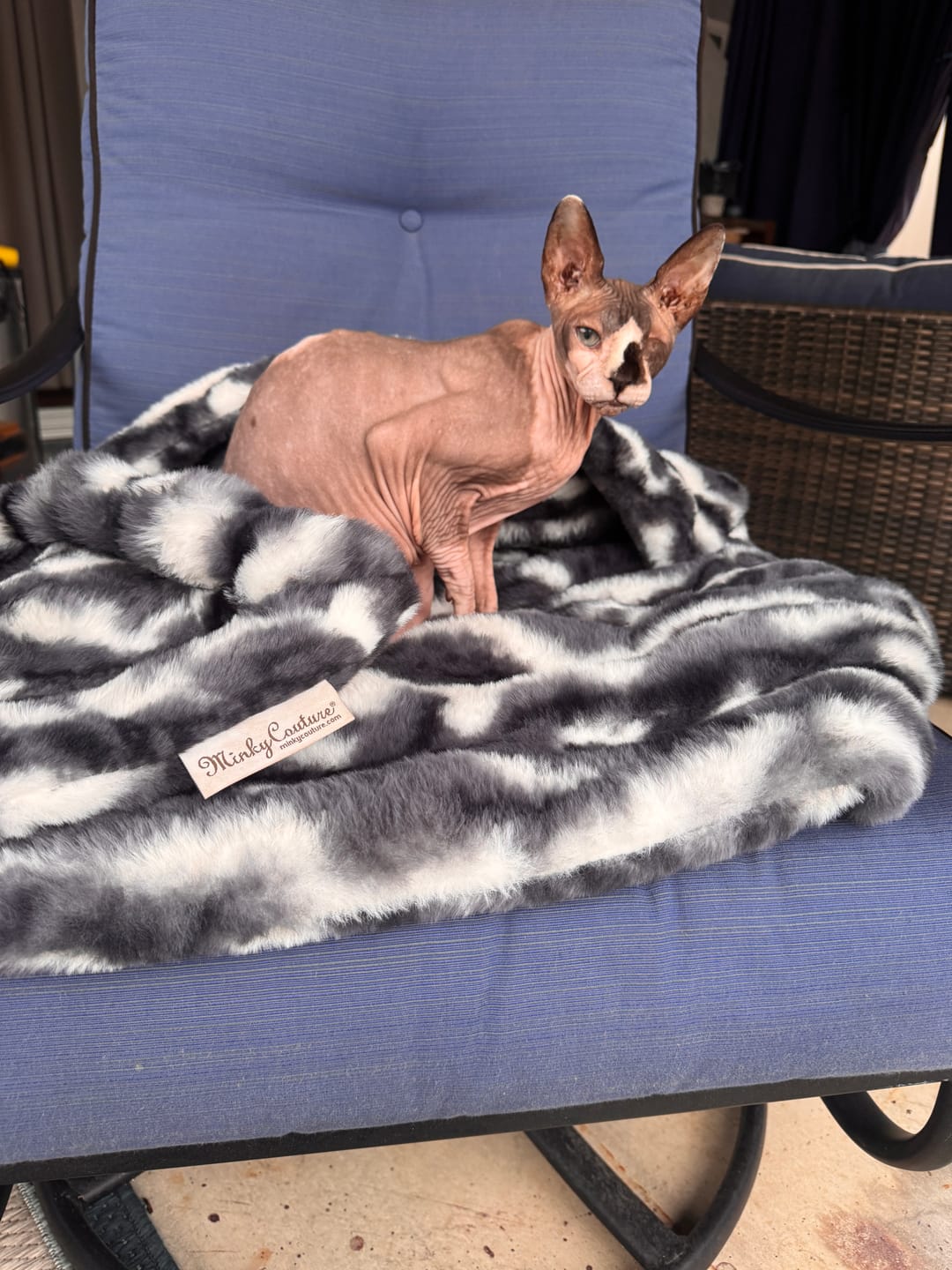Customer photo review of Cloudy Day Blue Pet Bed