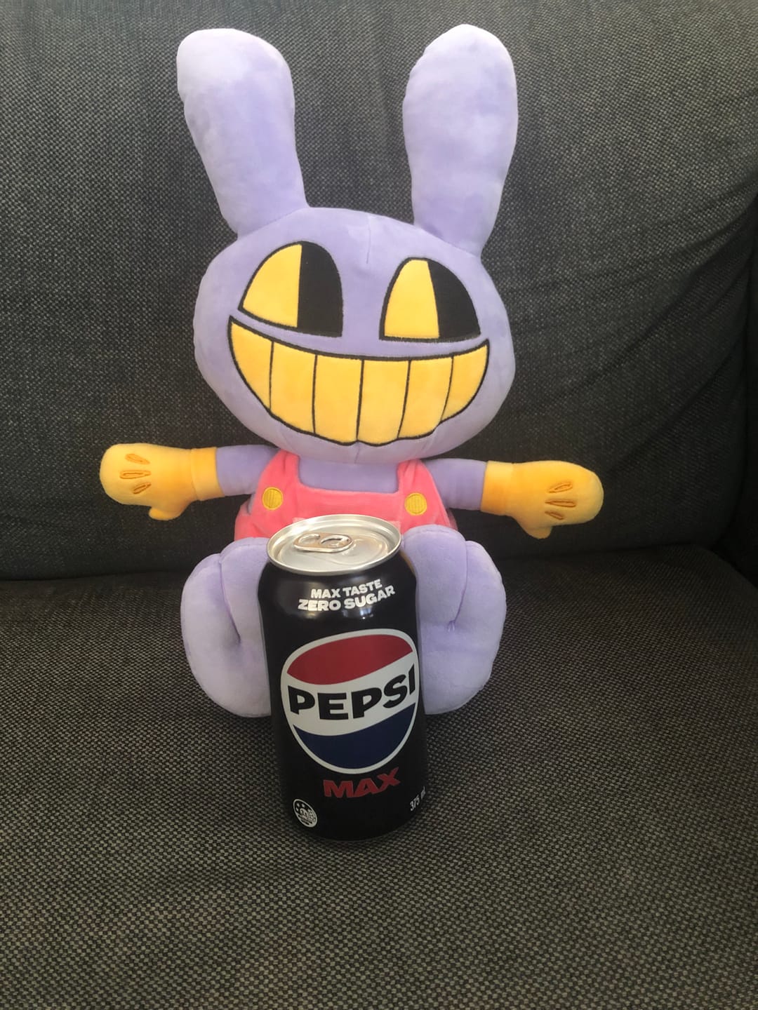 Customer photo review of Jax Plush