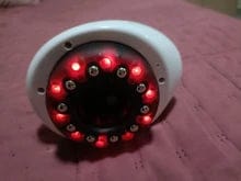 Customer photo review of Medusea Sculptor
