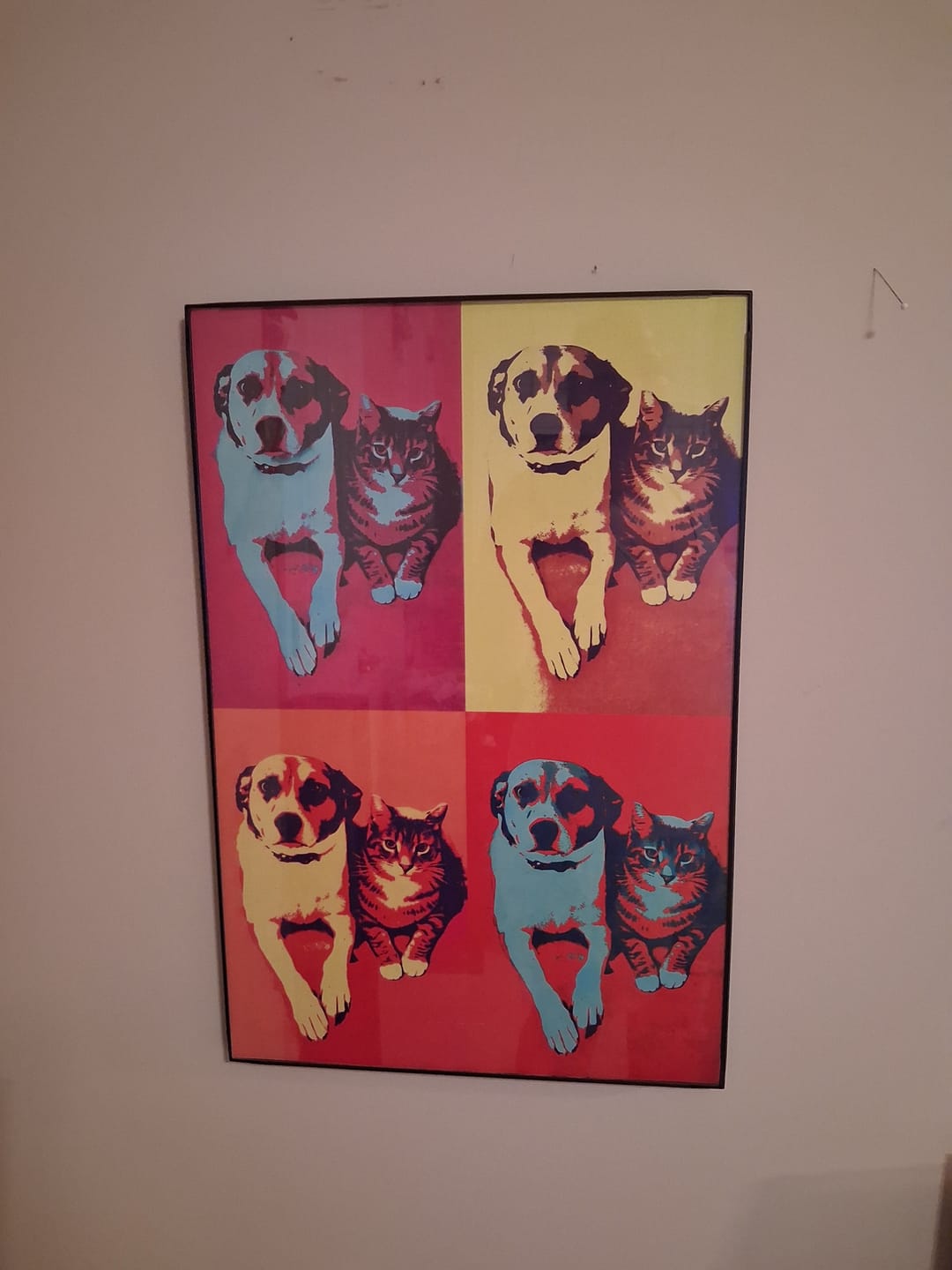 Customer photo review of Color Squares - Personalized Poster